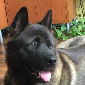 Meet your Posher, Audrey